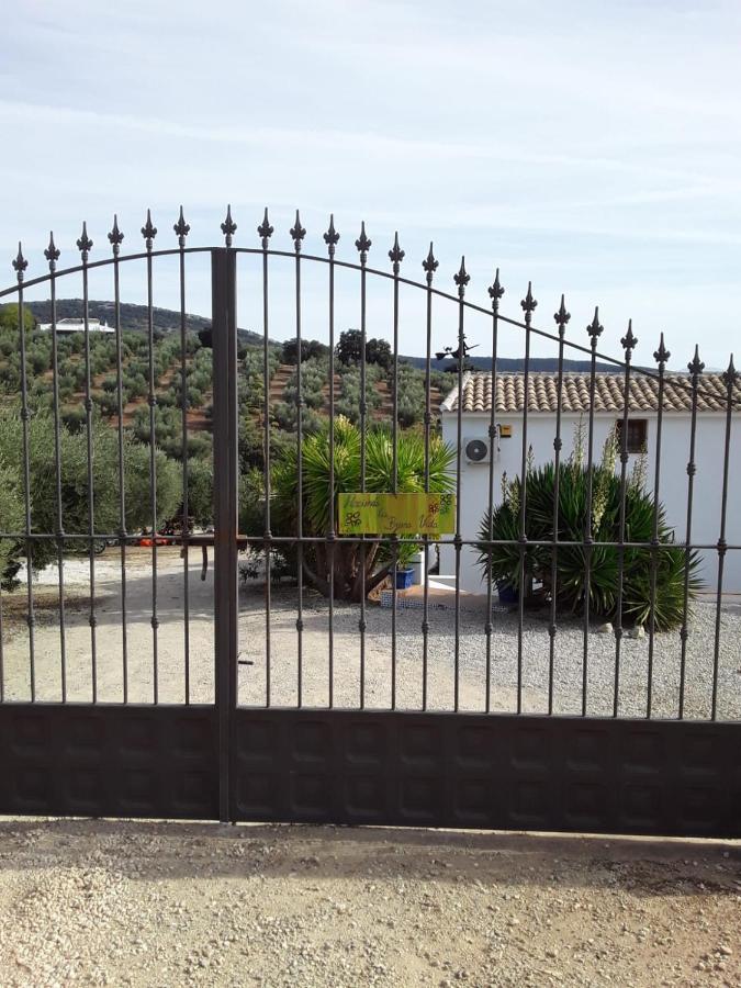 Hacienda la buena vida B&B en appartementen Algarinejo Exterior foto